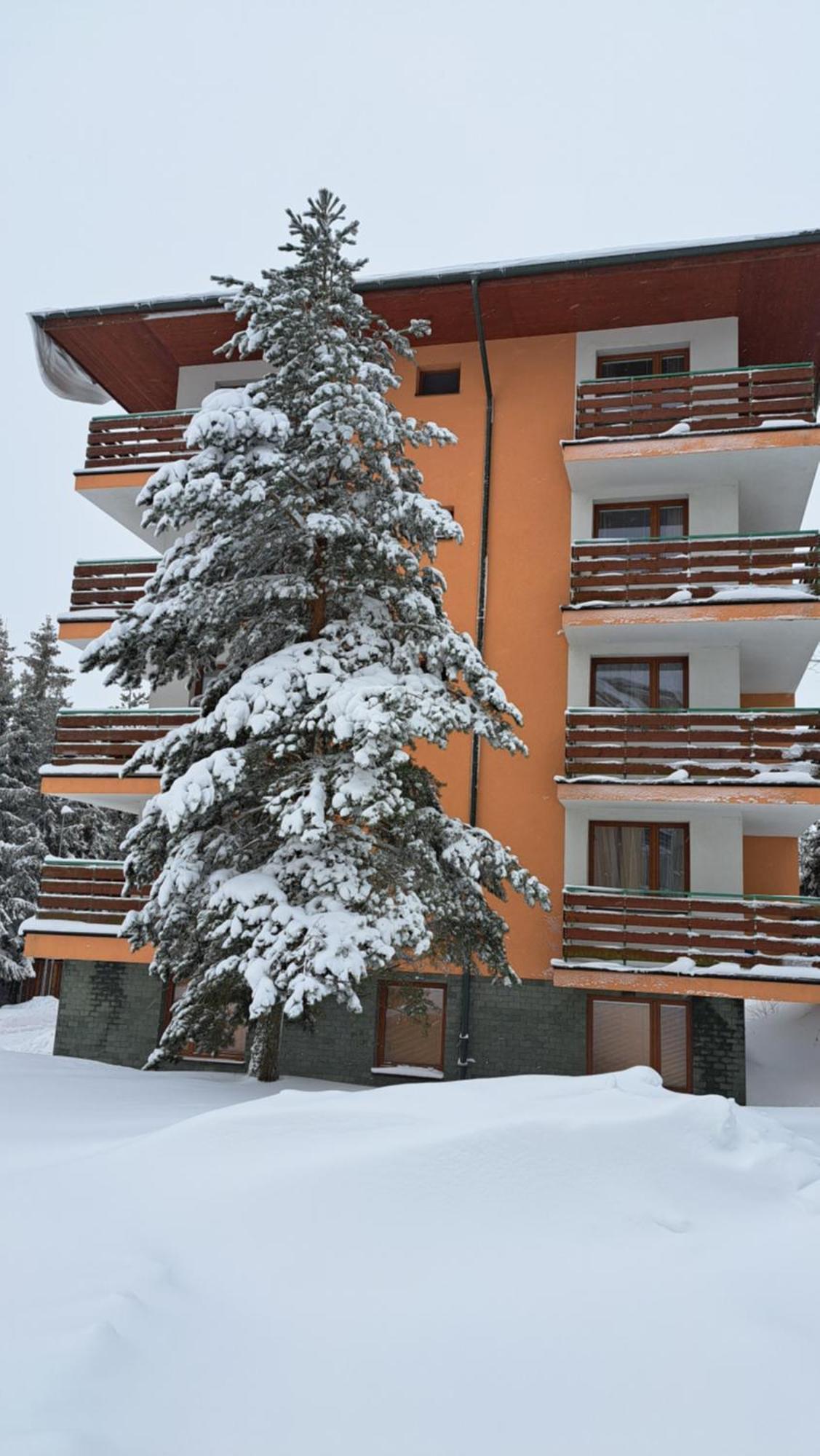 Apartman Palenica II Татранска-Штрба Экстерьер фото